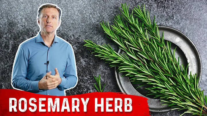 The Health Benefits of Rosemary