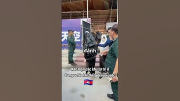 “Địa ngục trần gian” của người Hàn Quốc rơi vào ổ lừa đảo ở Campuchia #tintuc #tin24h
