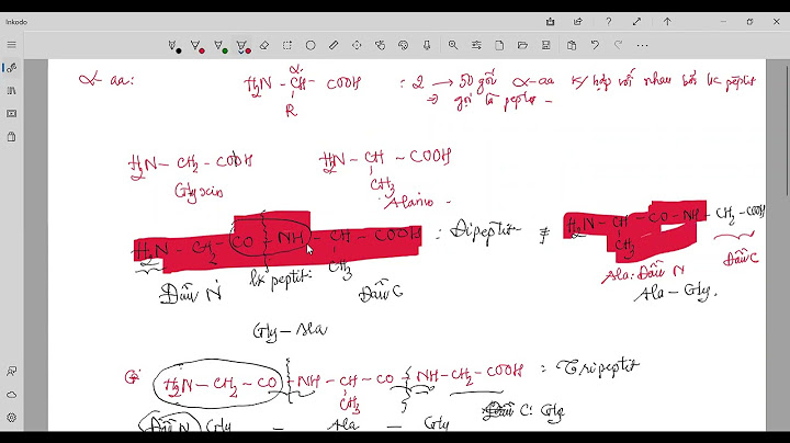 Gly ala có bao nhiêu liên kết peptit năm 2024