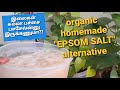 Epsom salt alternativeorganic magnesium  sulfatetamil