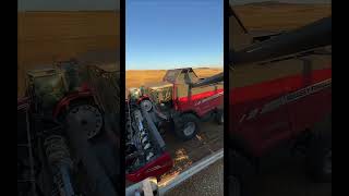 #keşfetbeniöneçıkar  #keşfetteyiz #agro #farming #ezel #akım #youtubeshorts #tarım #biçerdöver