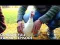 Gordon Raises Turkeys In His Garden | The F Word Full Episode