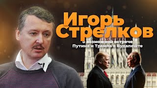 Игорь Стрелков о возможной встрече Путина и Трампа в Будапеште