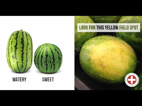 How to Choose The Sweetest Watermelon 5 Tips camera iphone 8 plus apk