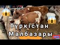 ТҮРКІСТАН МАЛ БАЗАРЫ 10.03.2021 УДАЙ СҰМДЫҚ😱