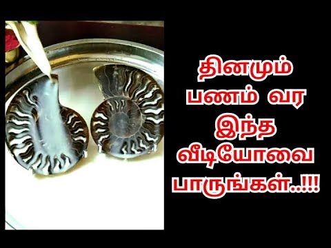 தினமும் இதை பார்ப்பவர்களுக்கு பணம் சேரும் ! Panam Sera | Kadan Thollai Theera Enna Seiya Vendum ?