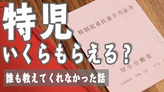 【特別児童扶養手当】いくらもらえる？自閉症スペクトラム 軽度知的障害B2の支給額について【誰も教えてくれなかった話】