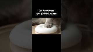 Cat Paw Press Asmr