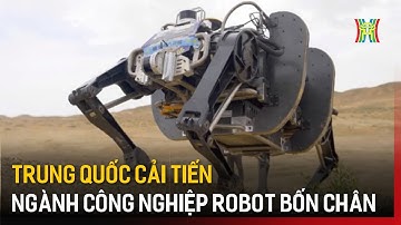 Trung Quốc cải tiến ngành công nghiệp robot bốn chân | Tin tức | Tin quốc tế
