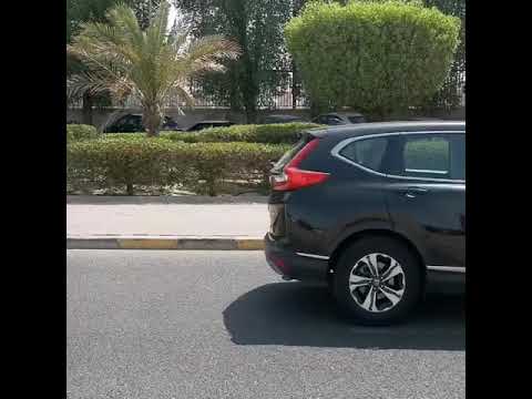 شجرة الكوناكاربس