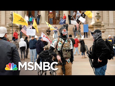 Michael Moore Reacts To Coronavirus Protests Backed By Trump Allies | The 11th Hour | MSNBC