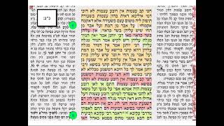 נזיר נג דף יומי מסכת נזיר דף נג Dafyomi Nazir 53 שמואל נבו