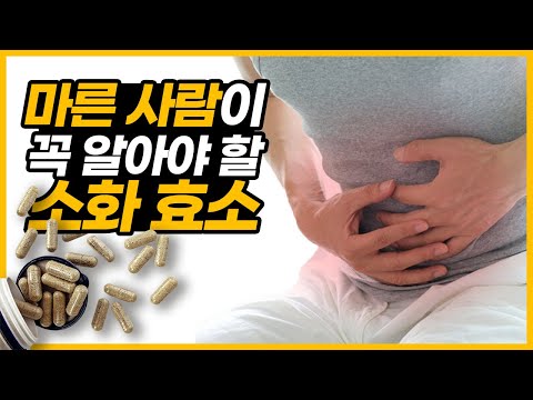 마른사람이 꼭 알아야할 소화효소🔥