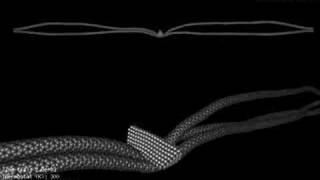 Carbon Nanotube-Fu