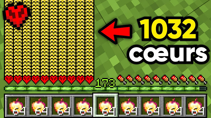 J'ai Obtenu 1032 Cœurs sur Minecraft Hardcore