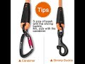 TrueLove Dog Pet Leash Nylon with Reflective Aluminum -Alloy H