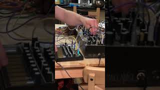 #shorts Buchla 208c Easel Command with Eurorack Maths drums live avant-garde synthesizer music