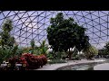 Epcot living with the land 2023 ride pov in 8k  walt disney world orlando florida february 2023