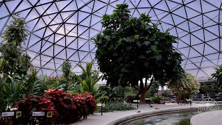 EPCOT Living with the Land 2023 Ride POV in 8K | Walt Disney World Orlando Florida February 2023