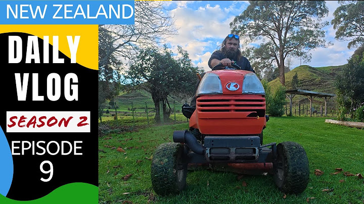 Painting, groceries and lawn mowing [Life in New Zealand season 2 # 9]