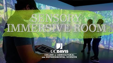 Sensory Immersive Room