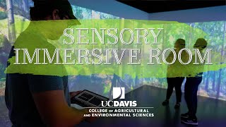 Sensory Immersive Room