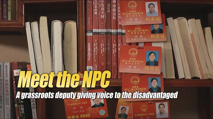 From grassroots to law, how China's National People's Congress work? - DayDayNews