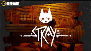 Stray - knocking things off tables and being a general nuisance