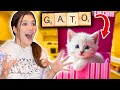 SI LO PUEDES DELETREAR TE LO COMPRO Challenge 💥 GANO LO QUE QUERÍA!💥 | Daniela Golubeva