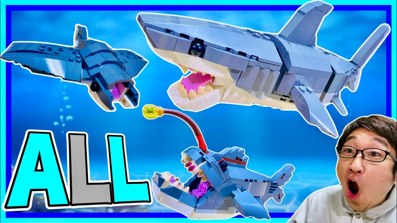 Which one is the best?] LEGO Creator 31381 Shark and Treasure