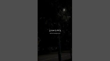 إني أخاف إن عصيت ربي عذاب يوم عظيم  | القارئ عبد الرحمن مسعد سورة يونس | #quran #قرآن #راحة_نفسية