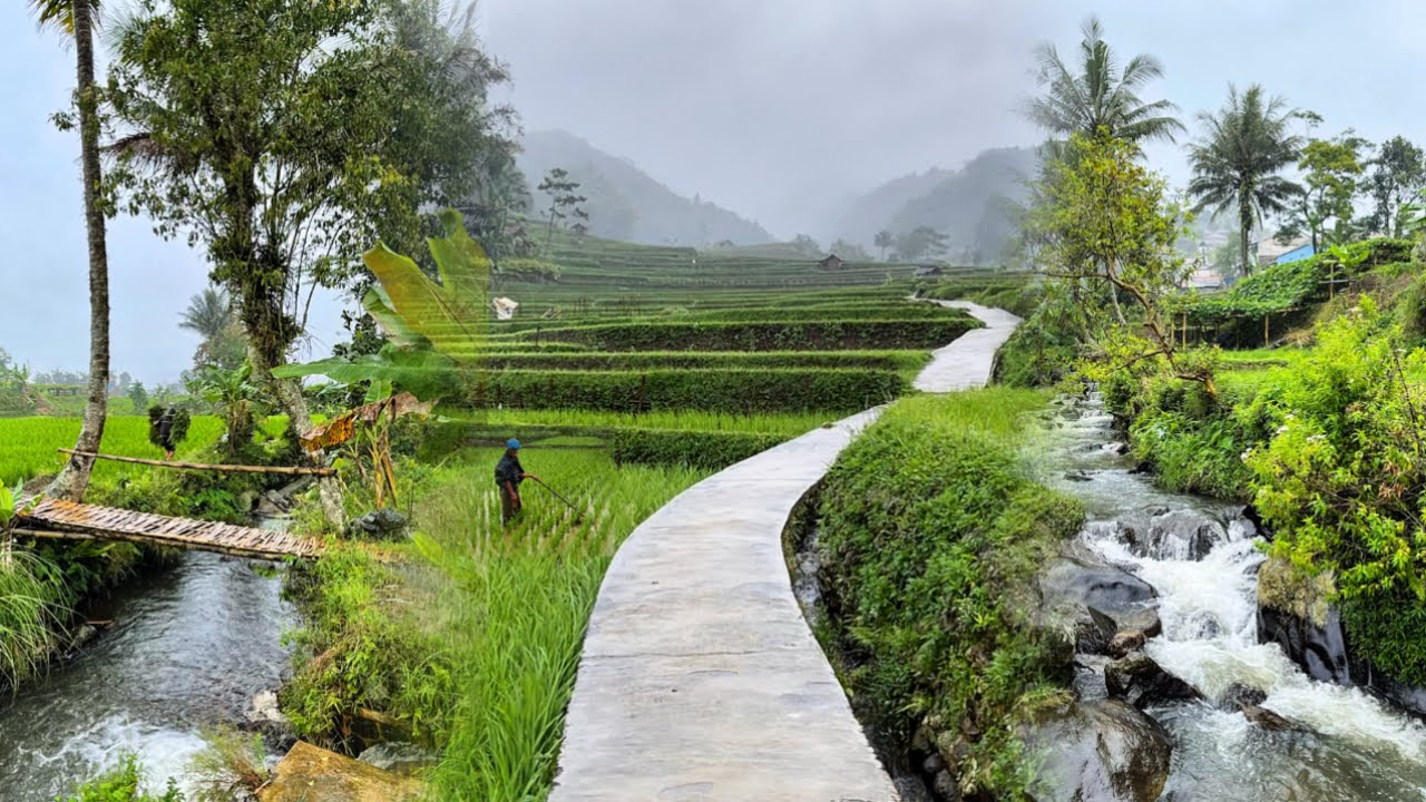 Suasana Desa Saat Hujan: Gunung, Sawah, dan Sungai yang Membuat Rindu Kampung 