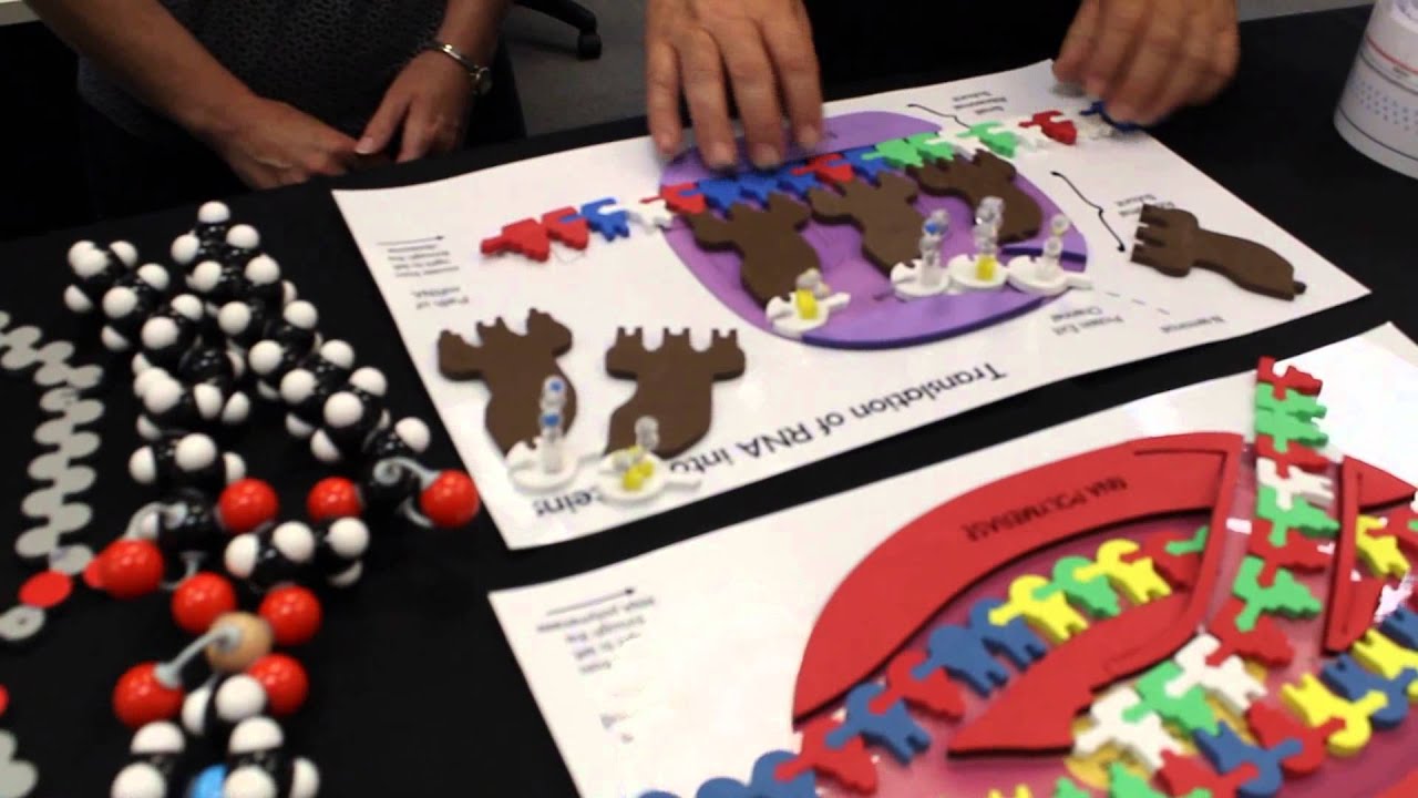 Introduction to 3D Molecular Designs Materials YouTube