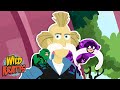 Mini Monkey Makeover Quiz