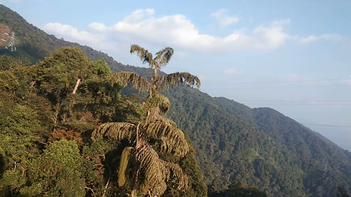 Cable Car Awana 13 Takut Ketinggian