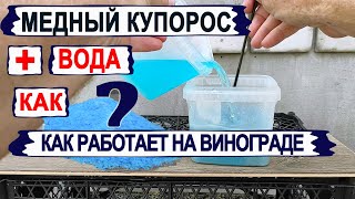 🍇 Если заменить БОРДОСКУЮ ЖИДКОСТЬ на ЧИСТЫЙ МЕДНЫЙ КУПОРОС. Как ЭТО работает на милдью винограда.