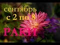 РАКИ. С 2 по 8 СЕНТЯБРЯ 2019 г. ПРОГНОЗ на НЕДЕЛЮ.