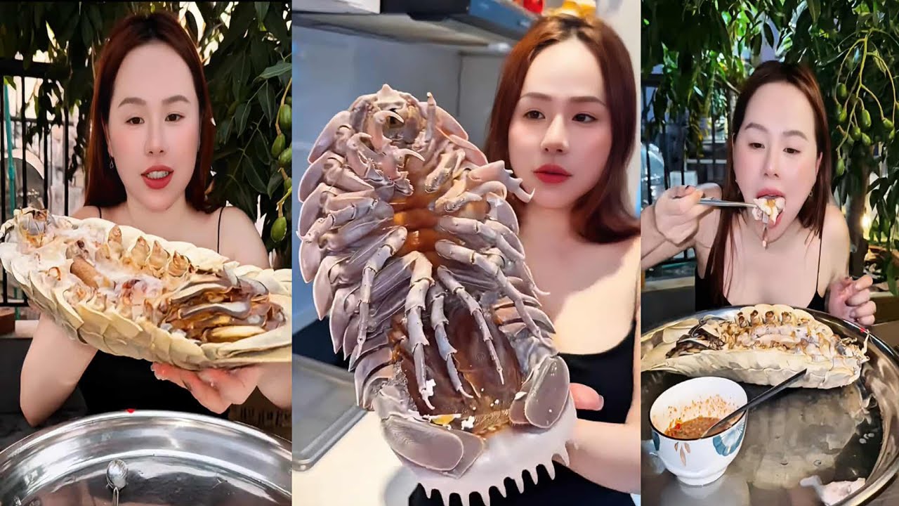 Con gì nhìn thấy ghê quá dạ 😳😳😳😳 