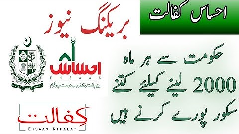786 new Scheme 2000 | Ehsaas kafalat new update | Ehsaas kafalat | Ehsaas new program