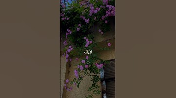 سورة مریم ♡ | شریف مصطفی