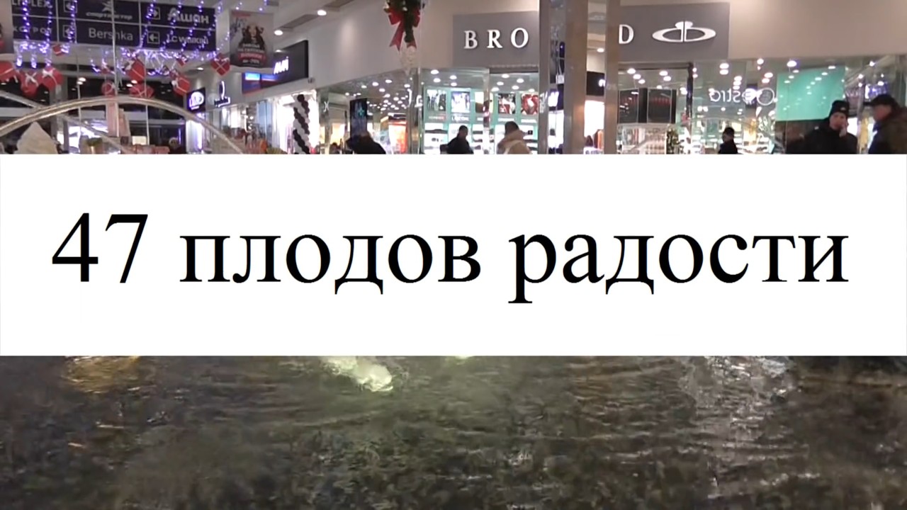 Самые смешные случаи • Свидетели Иеговы