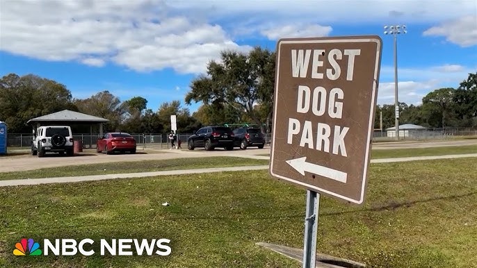 Tampa Man Charged In Shooting Death Of Gay Man At Dog Park