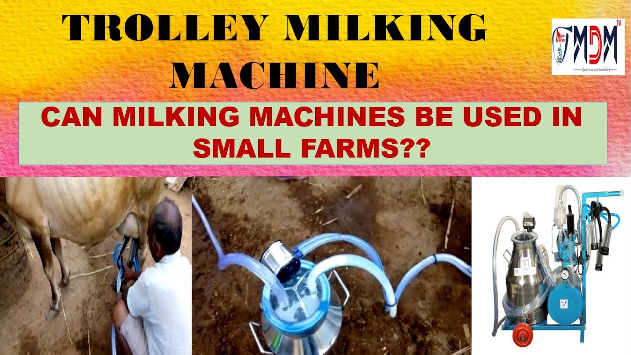 Milking machine for Karnataka/ Trolley milking machine/ Quality milking