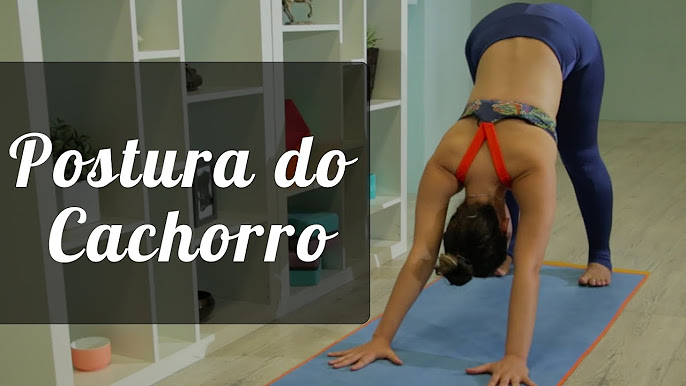 Tutoriais de Posturas Básicas de Yoga - Pri Leite 