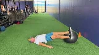 Reverse Plank Swiss Ball Tap Downs (Core)