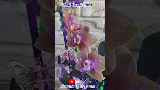 #orchid #орхидеи #обзорорхидей #ukraine #orchids_life_lana #орхідеї #орхидея #orchids #shorts #plant