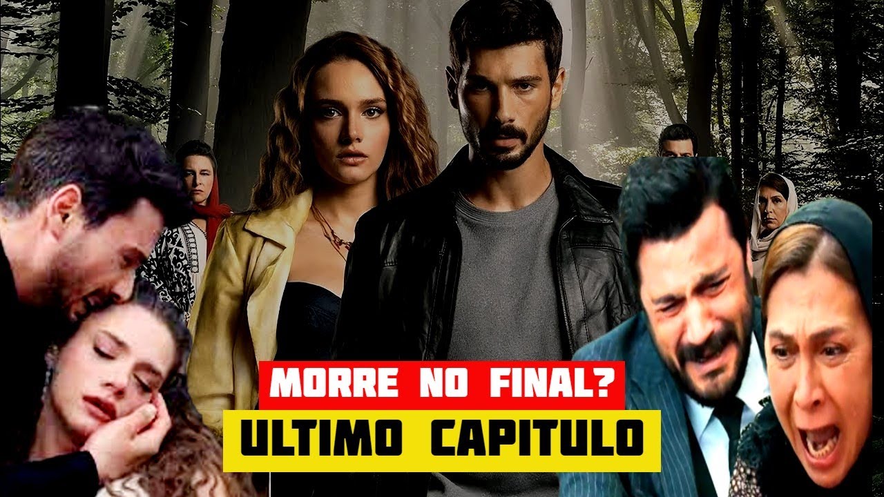 FINAL DE 
