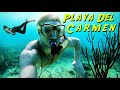 BEST PLACE IN MEXICO (PLAYA DEL CARMEN) 2022