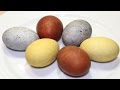 طريقة تلوين البيض بالألوان الطبيعية - البيض الملون بقشر البصل و العصفر و الكركديه