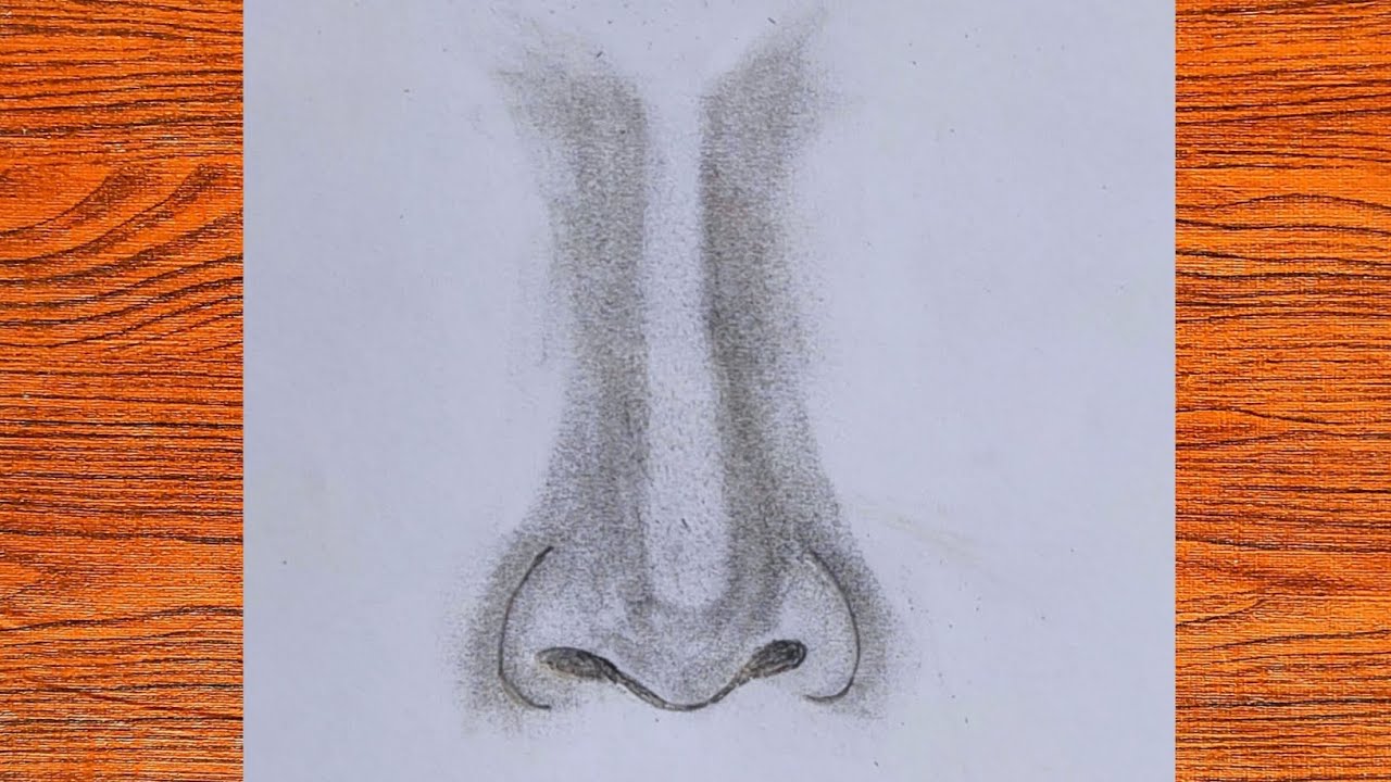 How to draw nose for beginners step by step Draw realistic nose Nose drawing Pencil